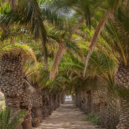 Casa Do Ribeiro Salgado Ii By An Island