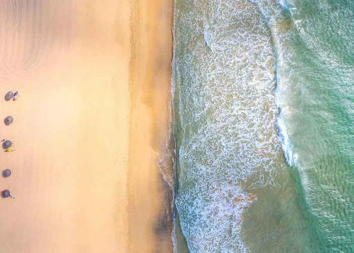 Casa Do Ribeiro Salgado Ii By An Island ポルト・サント