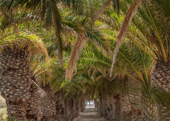 Casa Do Ribeiro Salgado Ii By An Island